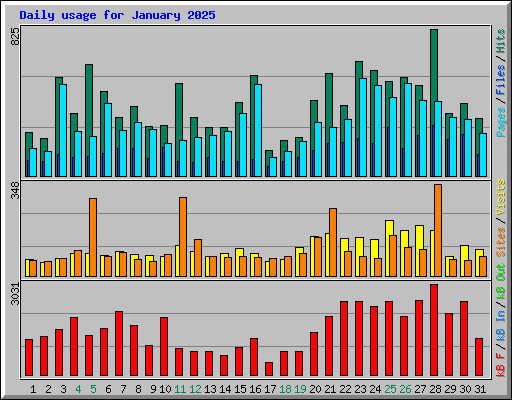 Daily usage for January 2025