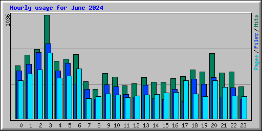 Hourly usage for June 2024