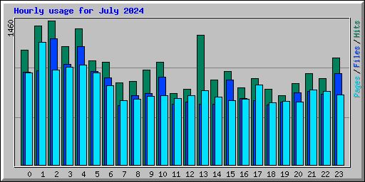 Hourly usage for July 2024