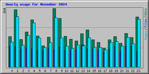 Hourly usage for November 2024