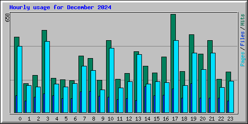 Hourly usage for December 2024