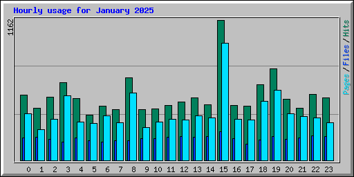 Hourly usage for January 2025