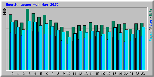 Hourly usage for May 2025