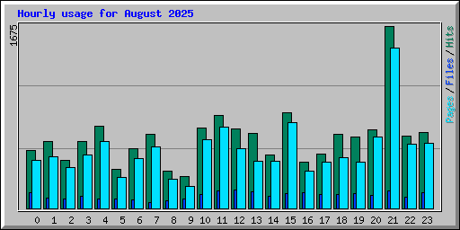 Hourly usage for August 2025