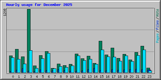Hourly usage for December 2025