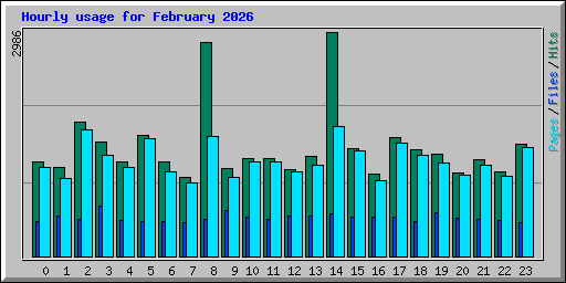 Hourly usage for February 2026