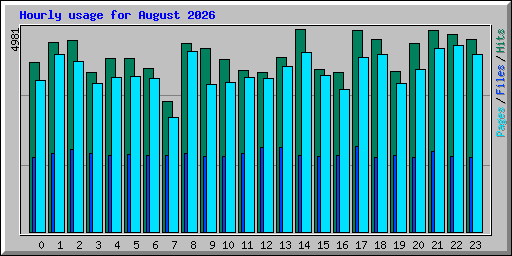 Hourly usage for August 2026