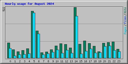 Hourly usage for August 2024