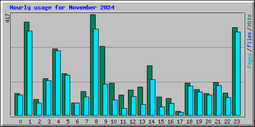 Hourly usage for November 2024