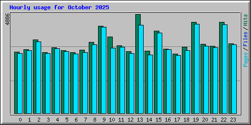 Hourly usage for October 2025