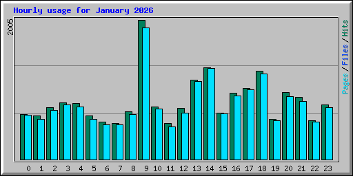 Hourly usage for January 2026