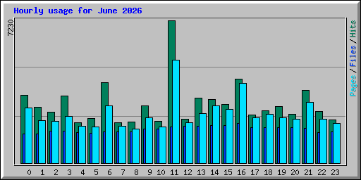 Hourly usage for June 2026