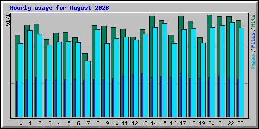 Hourly usage for August 2026