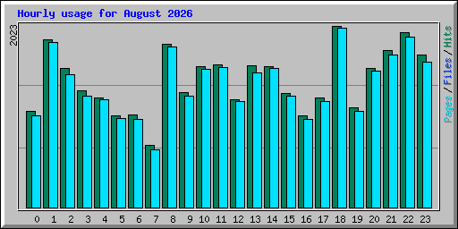 Hourly usage for August 2026